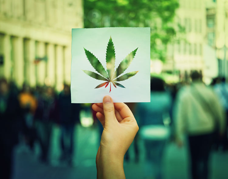 Summary of Requirements in Ontario Province to Get a Cannabis Retail License