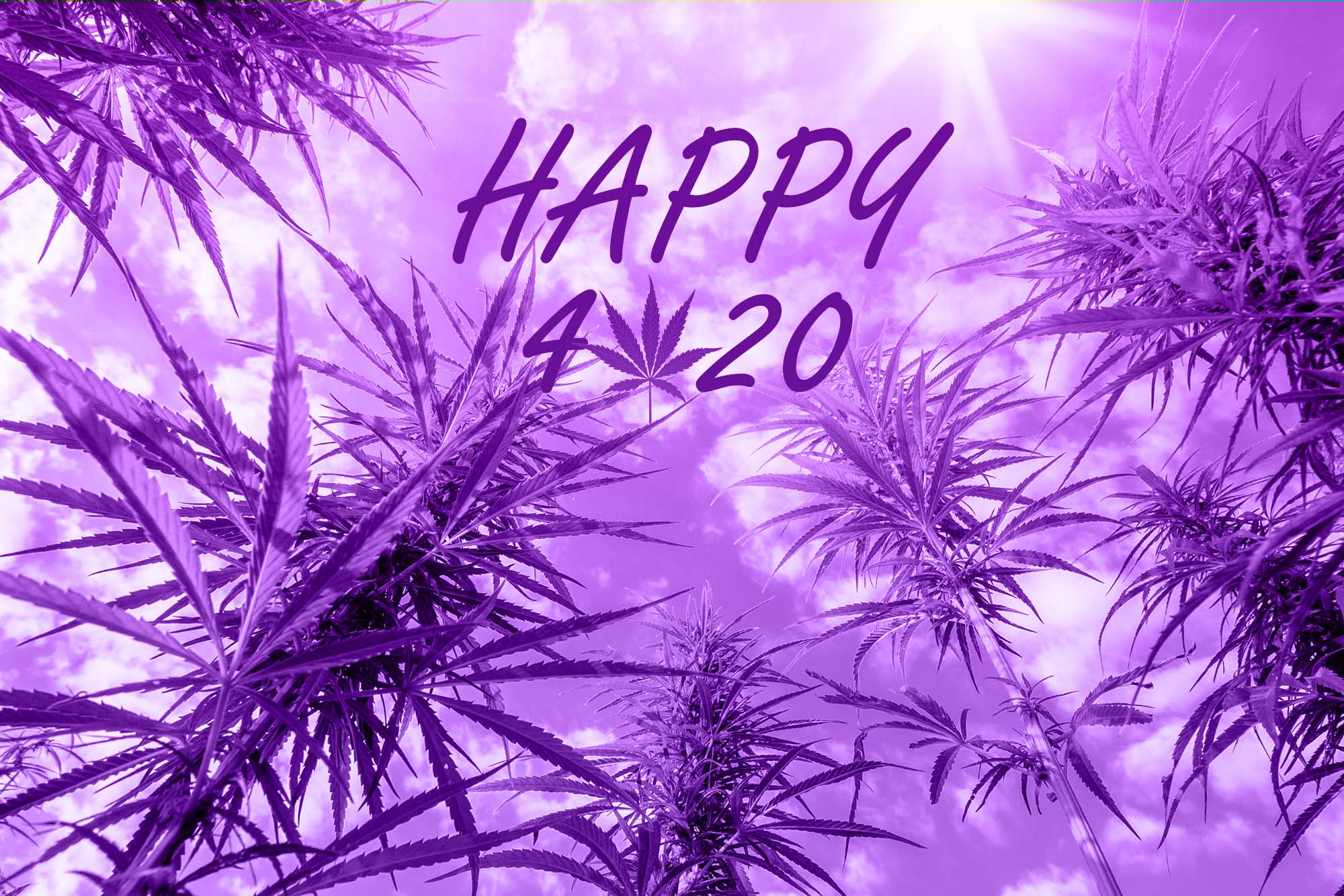 The History of 420 & Why it Matters for Cannabis Retailers