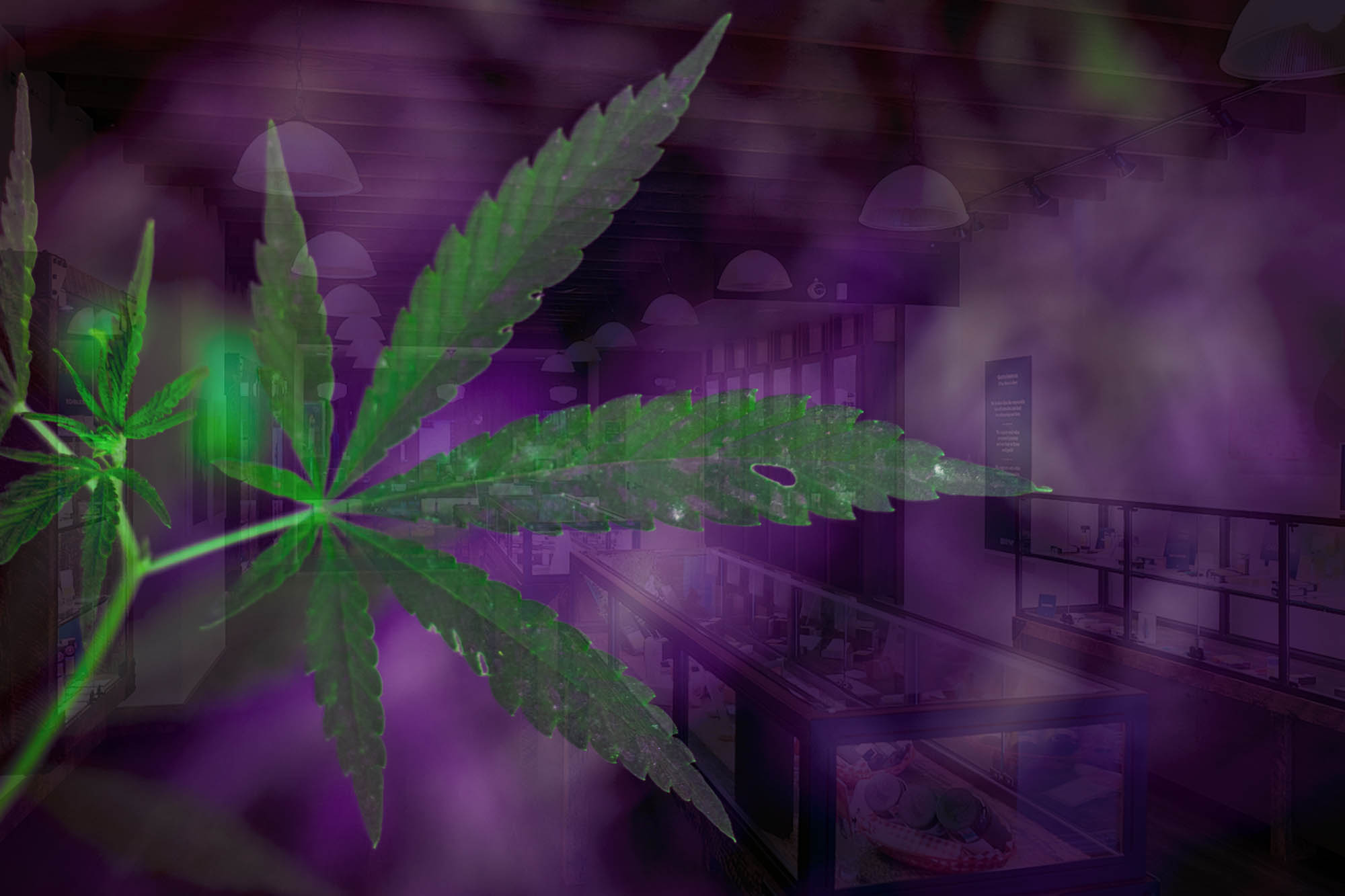 Recreational Cannabis is Here to Stay: Cannabis Retail in Canada, US