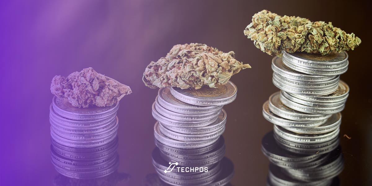 How Much Does it Cost to Open a Cannabis Dispensary in Canada?