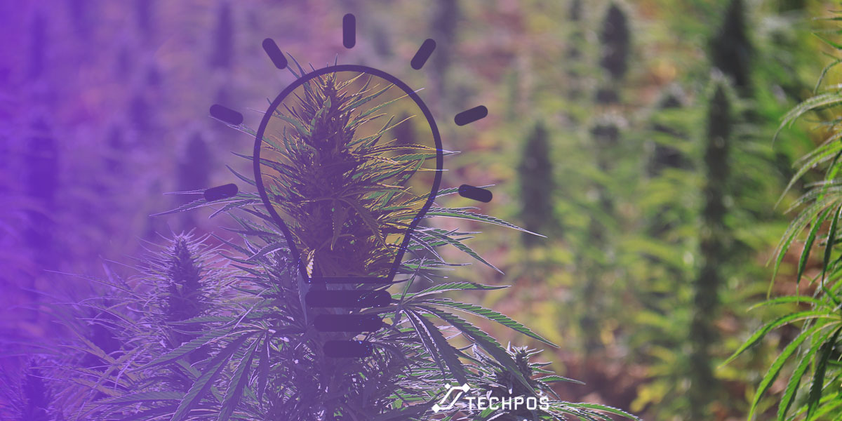 Holiday Related Sales Trends for Cannabis Retailers