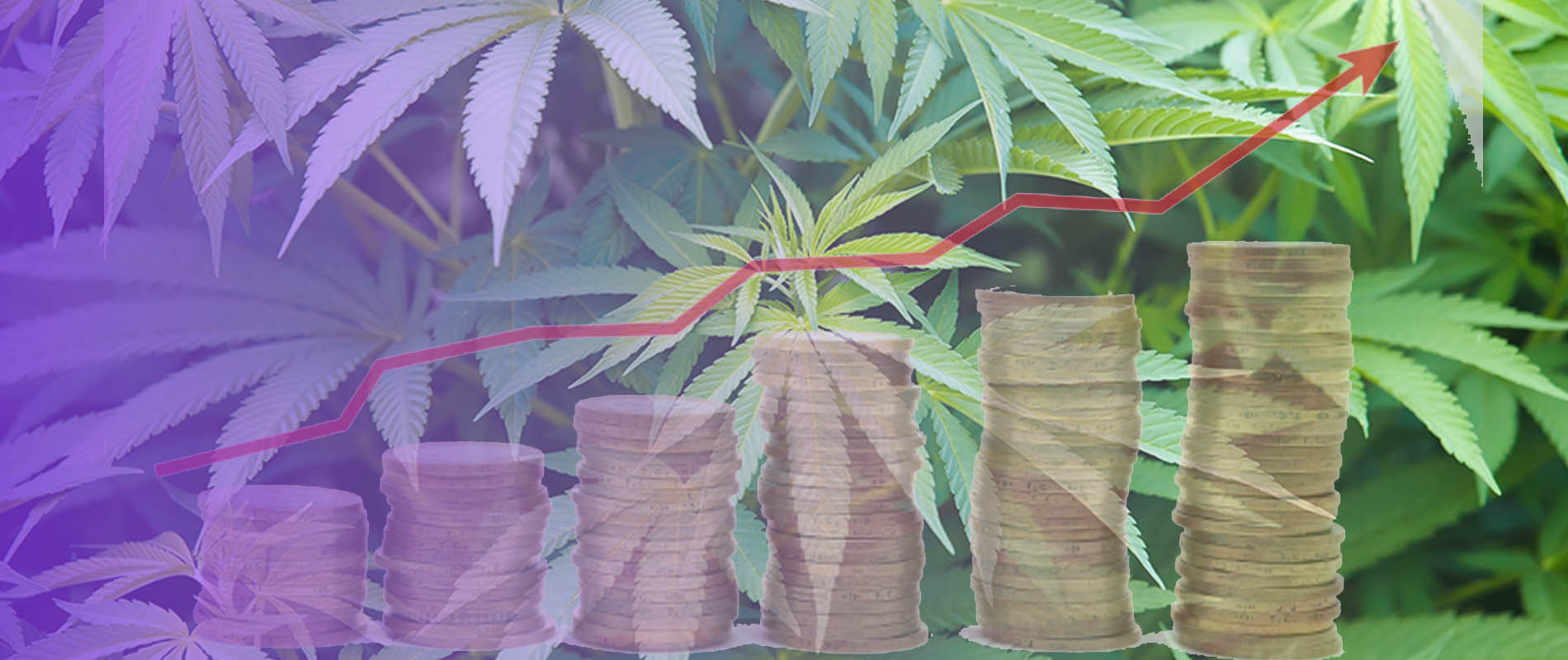 What to Expect in 2023: Predictions for Canada’s Cannabis Market