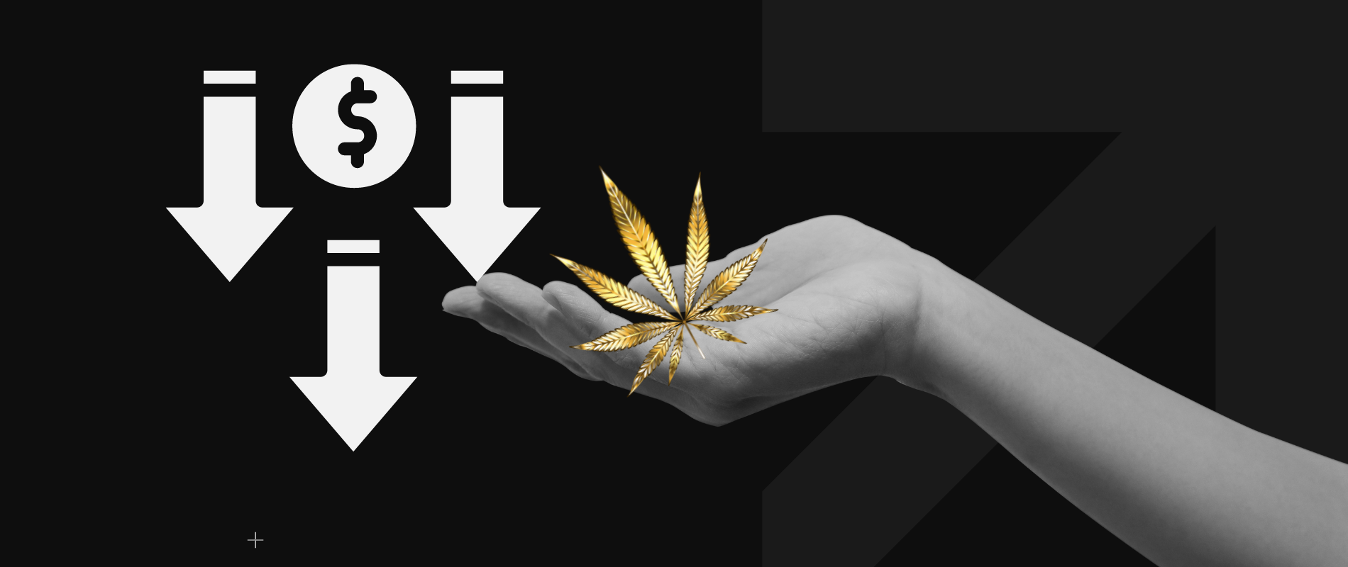 Recreational Cannabis Prices Fall: What Does this Mean for Retailers?