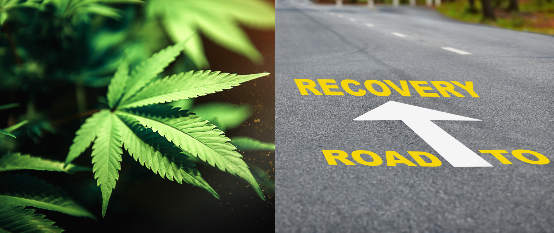 Cannabis Retail Survival Strategies: Navigating Economic Challenges