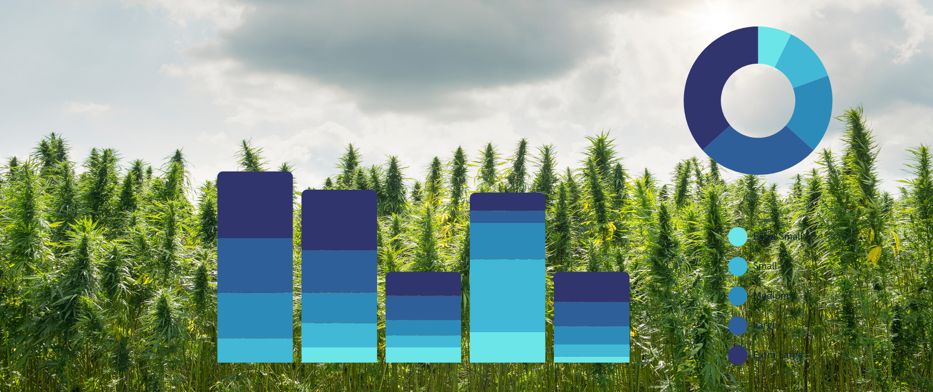 Canada’s Cannabis Market: Modest Growth or Saturation?
